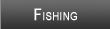 Lake Barkley Fishing